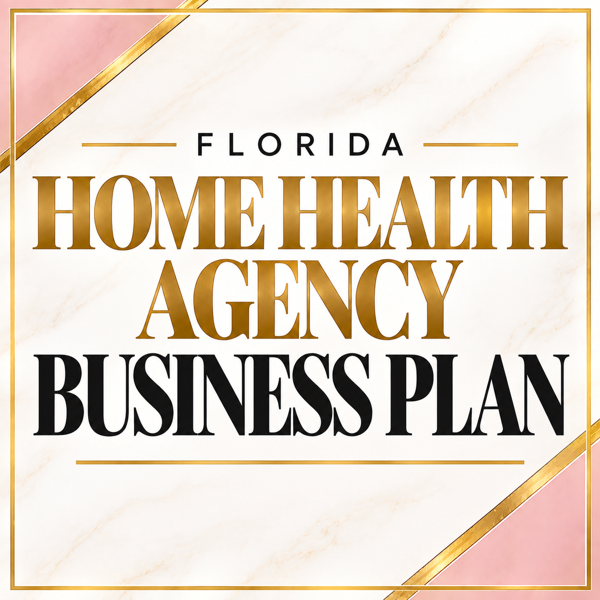 Florida Licensed Non-Skilled Home Health Agency Premium Business Plan